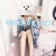 ヒメ日記 2026/01/06 23:27 投稿 てお いざ候 本館