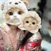 ヒメ日記 2026/02/24 00:18 投稿 てお いざ候 本館