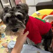 ヒメ日記 2025/11/28 00:00 投稿 ひかり 熟女総本店 堺東店