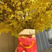 ヒメ日記 2025/12/06 11:13 投稿 ゆい 福盛