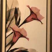 ヒメ日記 2025/12/23 11:40 投稿 美樹 出会い系人妻ネットワーク錦糸町～小岩編