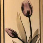 ヒメ日記 2025/12/29 09:38 投稿 美樹 出会い系人妻ネットワーク錦糸町～小岩編