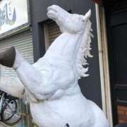 ヒメ日記 2026/01/06 11:30 投稿 美樹 出会い系人妻ネットワーク錦糸町～小岩編