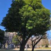 ヒメ日記 2026/01/08 12:47 投稿 美樹 出会い系人妻ネットワーク錦糸町～小岩編