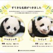 ヒメ日記 2026/01/26 19:34 投稿 美樹 出会い系人妻ネットワーク錦糸町～小岩編