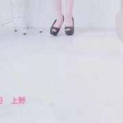 ヒメ日記 2026/06/23 19:40 投稿 ゆい ぐっすり山田　上野店