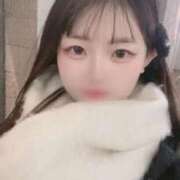 ヒメ日記 2025/12/27 04:39 投稿 かこ 新宿プチドール