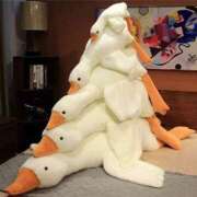 ヒメ日記 2026/03/22 17:59 投稿 かこ 新宿プチドール