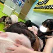 ヒメ日記 2026/09/20 13:10 投稿 かこ 新宿プチドール