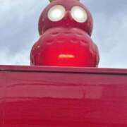 ヒメ日記 2025/11/29 14:31 投稿 柊ねねか ミセスレディ