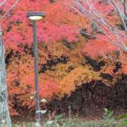 りょう 完売ありがとうございます！ 兵庫加東小野ちゃんこ