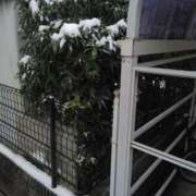 ヒメ日記 2026/02/08 23:25 投稿 りょう 兵庫加東小野ちゃんこ