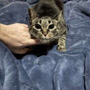 ヒメ日記 2026/02/27 09:10 投稿 りょう 兵庫加東小野ちゃんこ