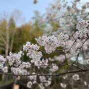 ヒメ日記 2026/04/04 13:15 投稿 りょう 兵庫加東小野ちゃんこ