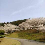 ヒメ日記 2026/04/05 16:58 投稿 りょう 兵庫加東小野ちゃんこ