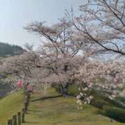 ヒメ日記 2026/04/06 17:20 投稿 りょう 兵庫加東小野ちゃんこ