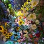 ヒメ日記 2025/12/13 12:15 投稿 しおん 無敵YOKOHAMA