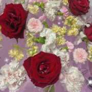 ヒメ日記 2025/12/19 18:30 投稿 しおん 無敵YOKOHAMA