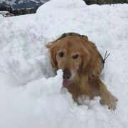 ちかげ 新潟に行って来ました 熟女の風俗最終章 国分寺店
