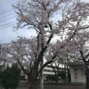 ヒメ日記 2026/03/10 10:13 投稿 ちかげ 熟女の風俗最終章 国分寺店