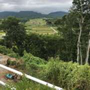 ヒメ日記 2026/04/28 08:13 投稿 ちかげ 熟女の風俗最終章 国分寺店