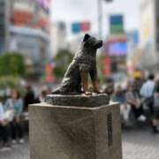 ちかげ 忠犬ハチ公 熟女の風俗最終章 国分寺店
