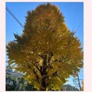 ヒメ日記 2025/12/06 12:38 投稿 なみ 完熟ばなな 横浜