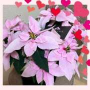 ヒメ日記 2025/12/23 11:00 投稿 なみ 完熟ばなな 横浜