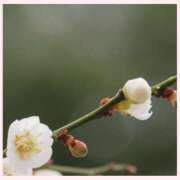 ヒメ日記 2026/01/16 10:53 投稿 なみ 完熟ばなな 横浜