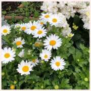 ヒメ日記 2026/03/14 11:35 投稿 なみ 完熟ばなな 横浜