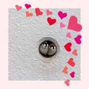 ヒメ日記 2026/03/26 11:08 投稿 なみ 完熟ばなな 横浜