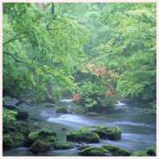 ヒメ日記 2026/04/24 06:13 投稿 なみ 完熟ばなな 横浜