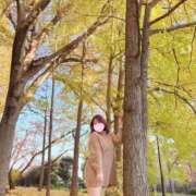 ヒメ日記 2025/11/26 21:17 投稿 はな(新人割12/31まで) ニュー不夜城