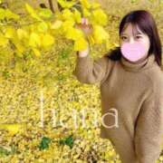 ヒメ日記 2025/11/27 14:26 投稿 はな(新人割12/31まで) ニュー不夜城