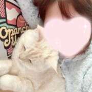 はな(新人割12/31まで) 猫との日々ฅ^•ω•^ฅ ニュー不夜城