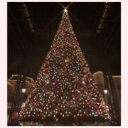 ヒメ日記 2025/12/25 18:14 投稿 なみ 完熟ばなな川崎