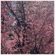 ヒメ日記 2026/03/05 11:13 投稿 なみ 完熟ばなな川崎