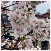 ヒメ日記 2026/03/27 13:44 投稿 なみ 完熟ばなな川崎