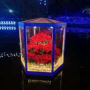 ヒメ日記 2025/12/31 18:48 投稿 みい 治療院.LOVE 宇都宮店