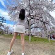 ヒメ日記 2026/02/02 19:31 投稿 ゆり Ace(エース)