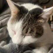 ヒメ日記 2025/12/15 21:44 投稿 岡島まどか 手コキ研修塾