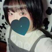 ヒメ日記 2026/01/01 23:24 投稿 岡島まどか 手コキ研修塾