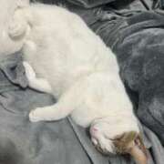 ヒメ日記 2026/01/14 06:54 投稿 岡島まどか 手コキ研修塾