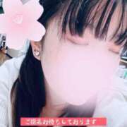 ヒメ日記 2026/04/08 07:25 投稿 すずか 美女Cafe