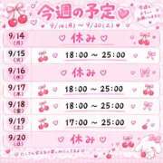 ヒメ日記 2026/09/14 01:52 投稿 もね チェリー新宿店