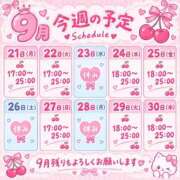 ヒメ日記 2026/09/16 00:11 投稿 もね チェリー新宿店
