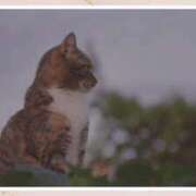 まや 受付終了？！ 北九州人妻倶楽部（三十路、四十路、五十路）