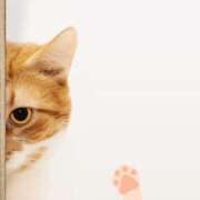 ヒメ日記 2026/04/19 03:37 投稿 まや 北九州人妻倶楽部（三十路、四十路、五十路）