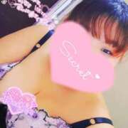 ヒメ日記 2026/02/07 17:01 投稿 あずき 宮城仙南ちゃんこ