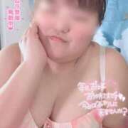 ヒメ日記 2026/05/12 18:41 投稿 あずき 宮城仙南ちゃんこ